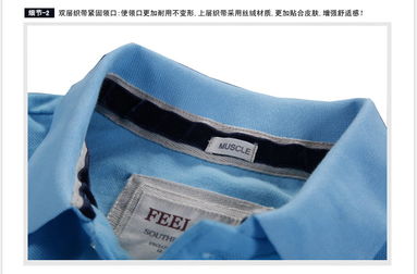 歐美經(jīng)典翻領男士Polo衫 天蘭色調與彈性織帶的時尚融合